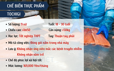 ĐƠN HÀNG CHẾ BIẾN THỰC PHẨM - TOCHIGI